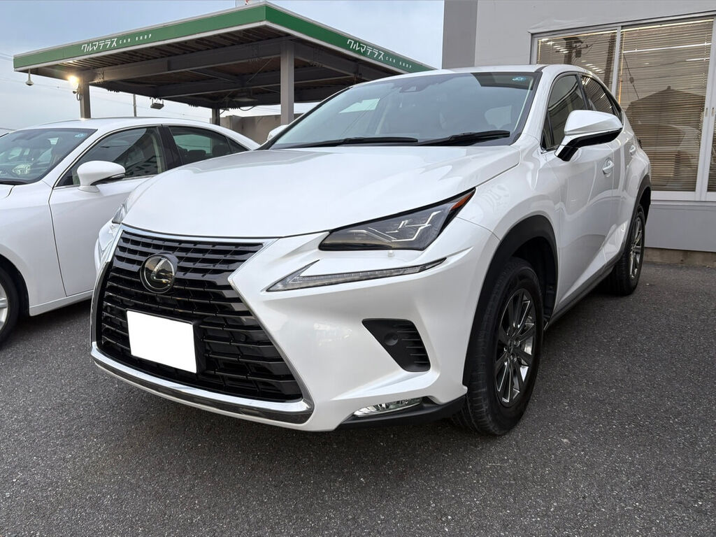 レクサス NX300 ホワイトパール フロント スピンドルグリル